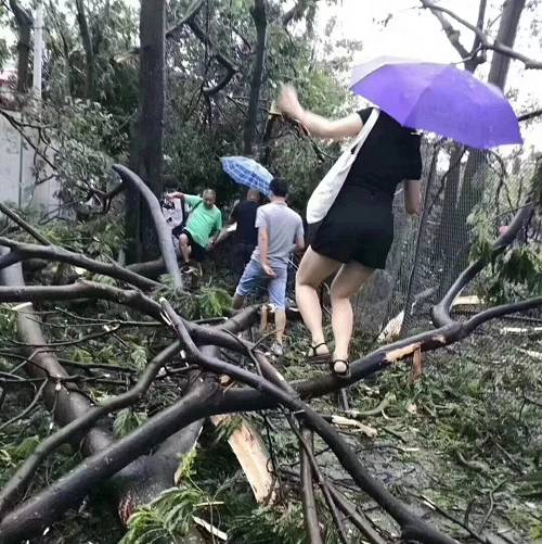 这场超级台风，暴露了中国经济四个意味深长的问题！