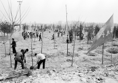 1985年起，每年四月的第一个休息日被定为首都义务植树日，市民群众在这一天共同参与首都绿化建设。 王振民摄